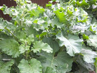 Similar image 20981221