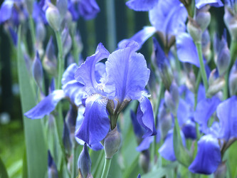 Similar image 20981222