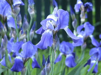 Similar image 20981224