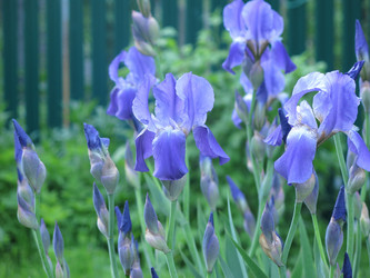 Similar image 20981331