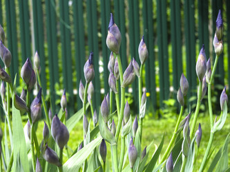 Similar image 20981334