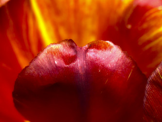 Similar image 20981335