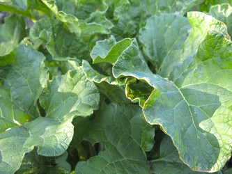 Similar image 20981225