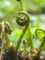 Similar image 20981337