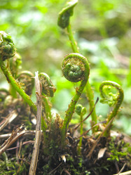 Similar image 20981338