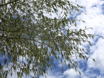 Similar image 20981340