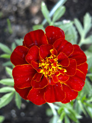 Similar image 20981341