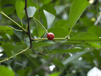 Similar image 20981342