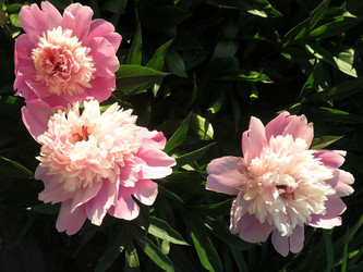 Similar image 20981343