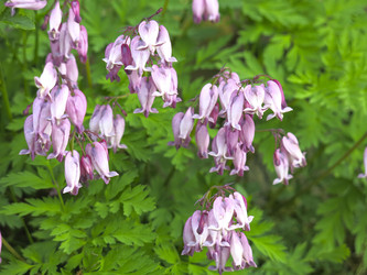 Similar image 20981344