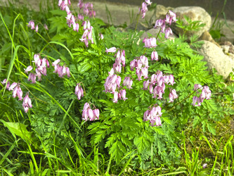 Similar image 20981345