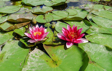 Similar image 20985482