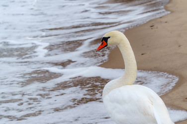 Similar image 20979485