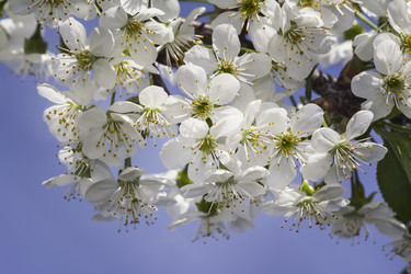 Similar image 20978381