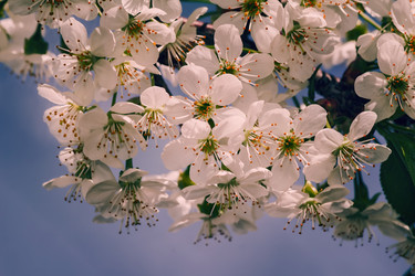 Similar image 20978562