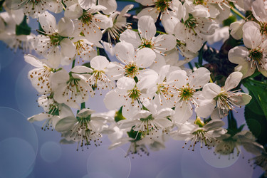 Similar image 20978563