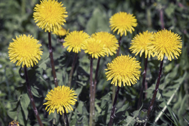 Similar image 20978564