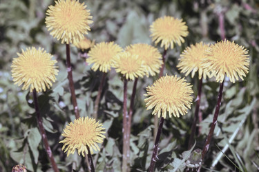 Similar image 20978565