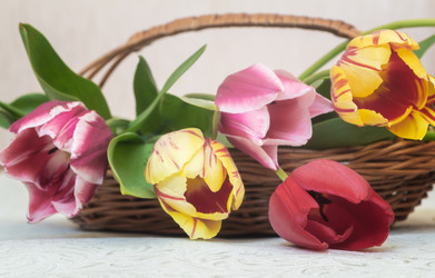 Similar image 20978566