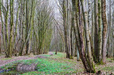 Similar image 20979416