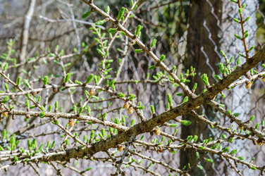 Similar image 20979492