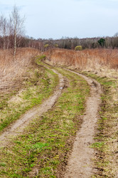 Similar image 20979501