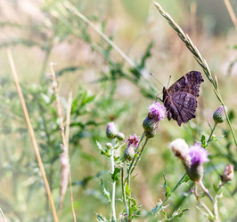 Similar image 20979505