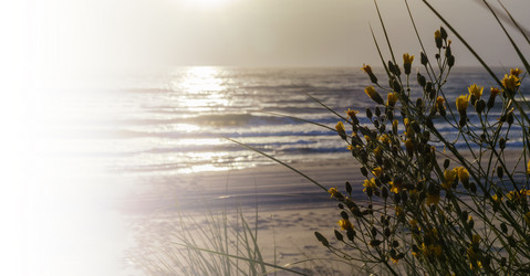 Similar image 20979507