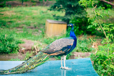 Similar image 20980635