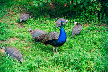 Similar image 20980636