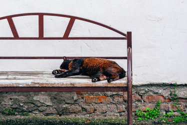 Similar image 20980638