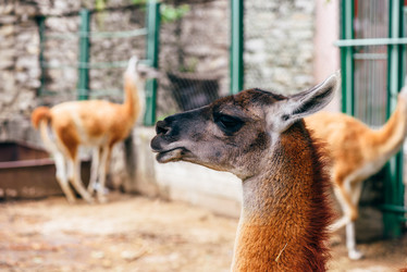 Similar image 20980641