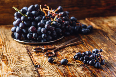 Similar image 20980681