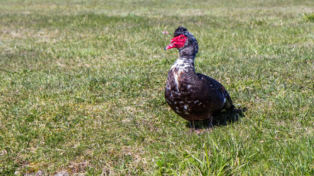 Similar image 20986636