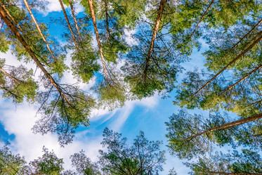 Similar image 20986644