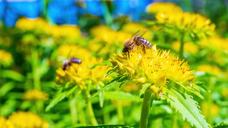 Similar image 20986650