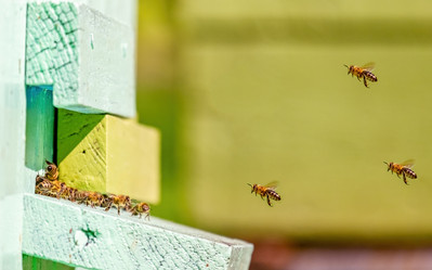 Similar image 20986655