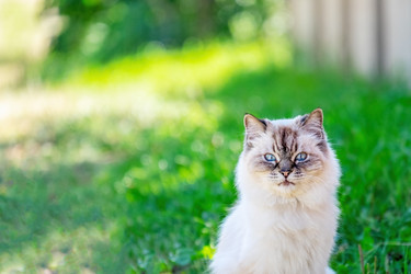 Similar image 20986663