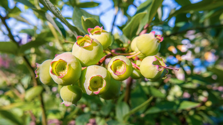 Similar image 20986667