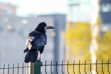 Similar image 20986669