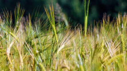 Similar image 20986676