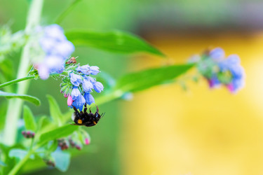 Similar image 20986678