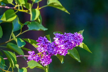 Similar image 20986679