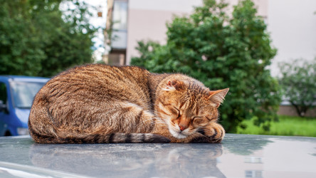 Similar image 20986811