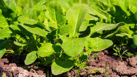 Similar image 20986829