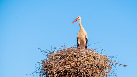 Similar image 20986831