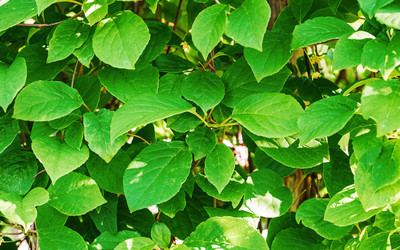 Similar image 20986834