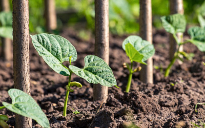 Similar image 20986835