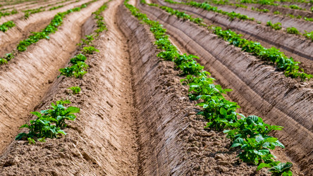 Similar image 20986837