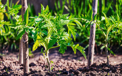 Similar image 20986839